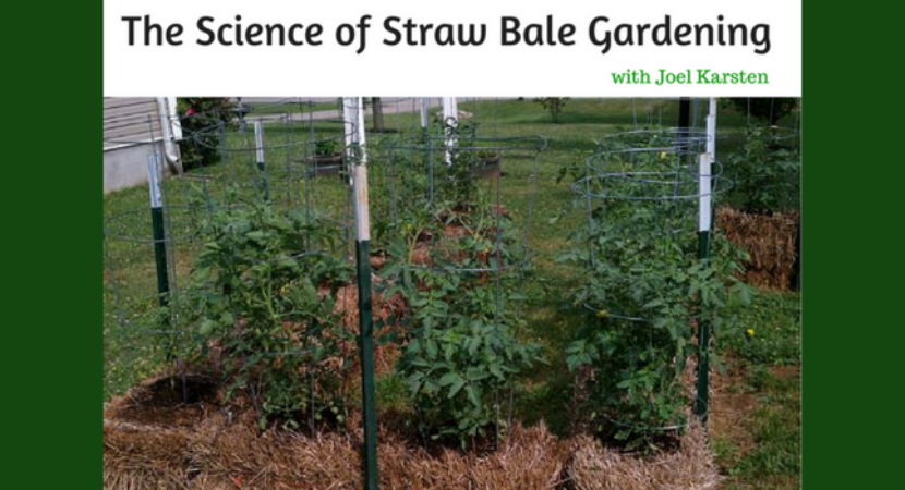 The Science Of Straw Bale Gardening With Joel Karsten Back To My