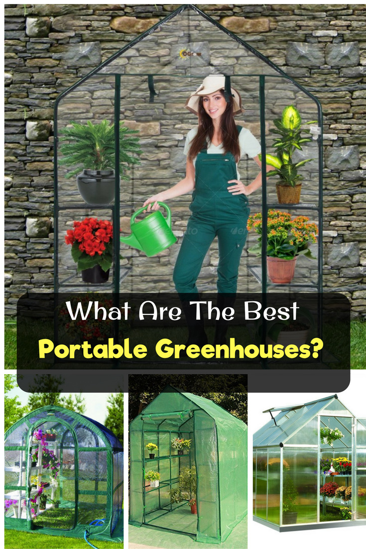 What Are The Best Portable Greenhouse Kits Back To My Garden