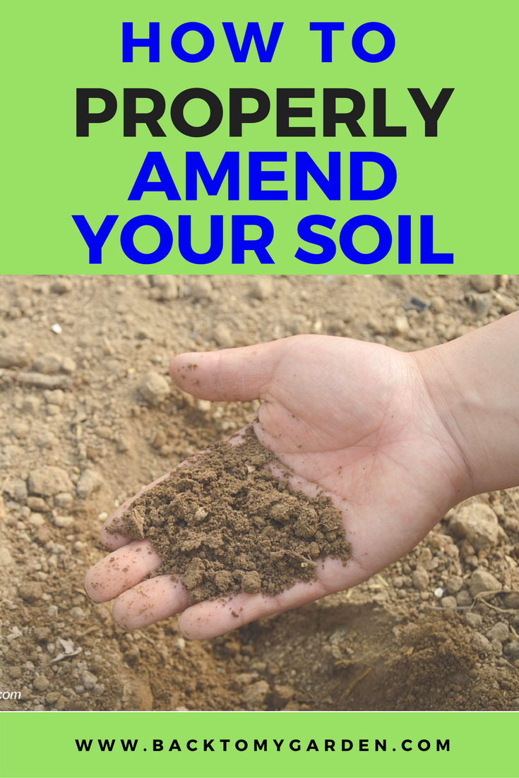 How to Properly Amend Your Soil with Erin Meier – Back To My Garden